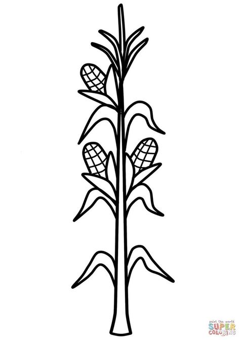 Corn Template, Corn Coloring Page, Corn Drawing, Rainbow Corn, Fall Drawings, Corn Stalks, Corn Plant, Pumpkin Coloring Pages, Silhouette Template