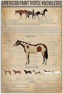 Horse Judging, Knowledge Poster, Healthy Horses, Xmas Art, Horse Knowledge, American Paint Horse, Owl Posters, Appaloosa Horse, American Paint