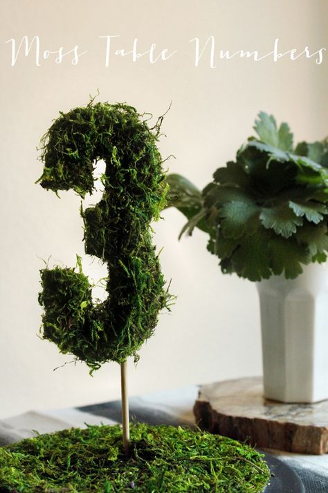 DIY moss table numbers! they look kinda cool, but i wonder if i could spin these a bit differently? hmm... Moss Table, Table Numbers Wedding Diy, Diy Moss, Diy Table Numbers, Diy Events, Boda Diy, Theme Nature, Wedding Numbers, Deco Nature