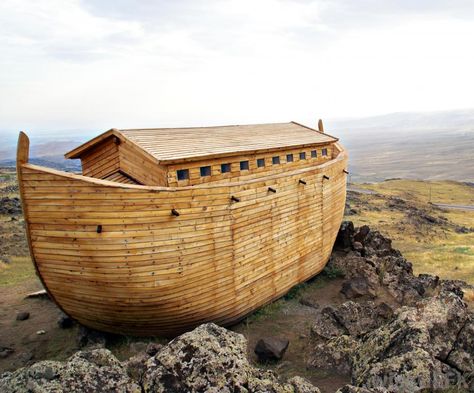 What is Acacia Wood? (with pictures) Noah Flood, Turkey Images, Bible Stories For Kids, Noah S Ark, Childrens Bible, Vacation Bible School, Trunk Or Treat, Noah's Ark, Noahs Ark