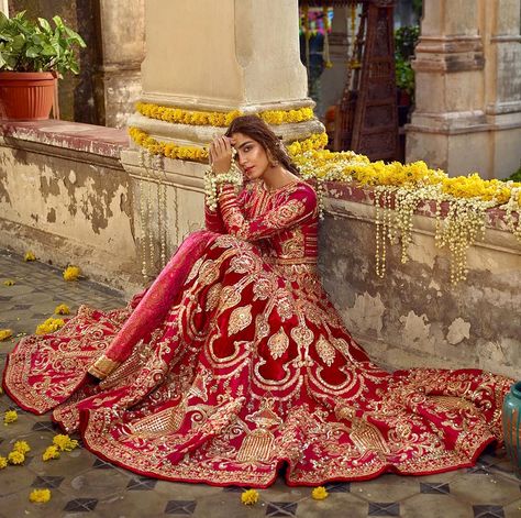 Pakistani Bridal Dress, Red Bridal Dress, Desi Wedding Dresses, Maya Ali, Bride Photoshoot, Pakistani Style, Shocking Pink, Painting References, Ghagra Choli