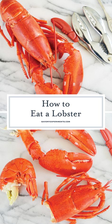 Step-by-step instructions on how to eat lobster like a pro! Plus, a trick for getting meat out of the little legs and find out where you can find a little extra meat that everyone throws out. #lobster #lobsterrecipes www.savoryexperiments.com Live Lobster, Lobster Recipes Tail, How To Cook Liver, New Years Dinner, How To Cook Lobster, Lobster Meat, Lobster Recipes, Simple Health, Recipes Simple