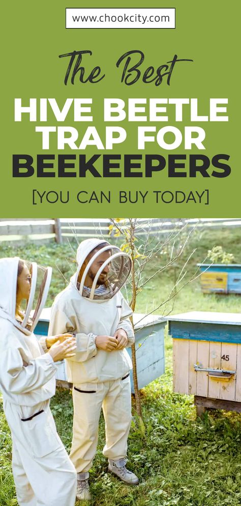 Bee Hive Shelter Ideas, Hive Beetles, Apiary Beekeeping, Homestead Livestock, Honey Bee Farming, Backyard Bee, Bee Stuff, Beekeeping For Beginners, Bee Friendly Garden