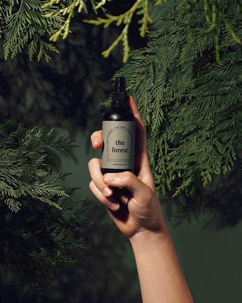 moody product photography by heim goods featuring black glass bottle and green label with essential oils for room spray Linen Mist, Forest Room, Creative Advertising Photography, Skincare Products Photography, Outdoor Shoot, Beauty Products Photography, Outfits Petite, Current Fashion, 2022 Trends