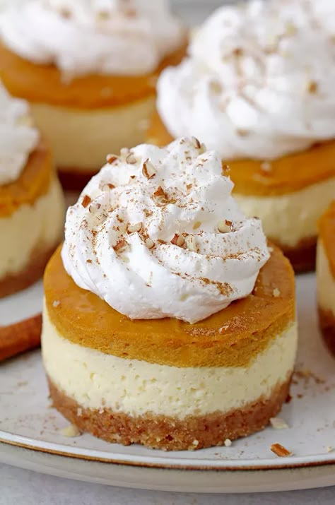 Mini Cheesecakes Halloween, Mini Sweet Potato Cheesecake, Mini Pumpkin Cheesecake Recipes, Punkin Pie Recipe, Mini Pumpkin Cheesecake Bites, Mini Pumpkin Pie Cheesecake, Pumpkin Cheesecake Cupcakes, Mini Pumpkin Pie, Thanksgiving Board