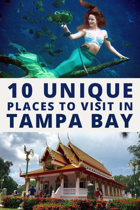 Things To Do In Tampa Florida, Things To Do In Tampa, Beautiful Place In The World, Tampa Bay Florida, Florida Adventures, Travel Wishes, Florida Life, Ybor City, Florida Trip