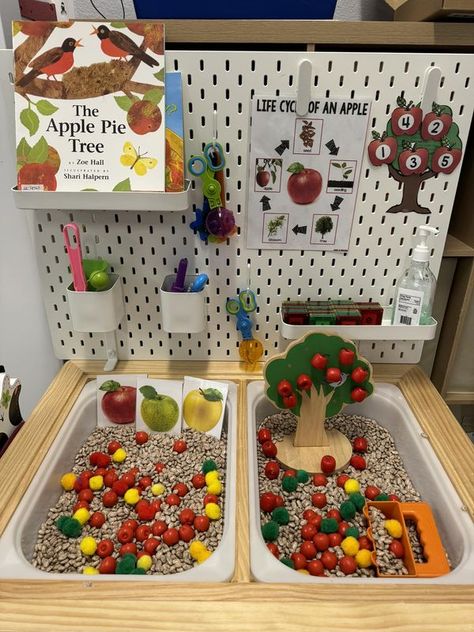 Sensory Play | Ready for our Apple unit | Facebook Apple Sensory Bin, Apple Sensory, Special Education Classroom Setup, Toddler Sensory Bins, Apple Unit, Toddler Sensory, Sensory Bin, Farm Theme, Apple Orchard