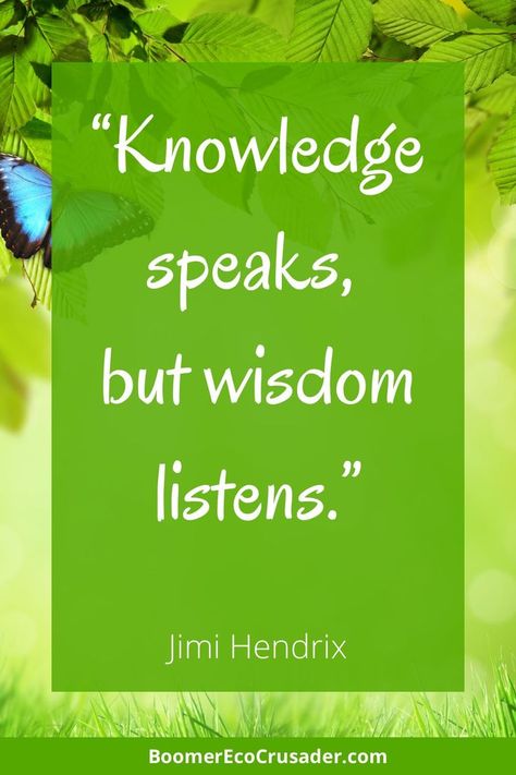 There's no shortage of knowledge in the world, but wisdom is more scarce. Click through to learn the difference between wisdom and knowledge, and how you can cultivate wisdom in your life. Knowledge And Wisdom Quotes, Wisdom And Knowledge Bible, Quotes On Wisdom And Knowledge, Knowledge Power Quotes, Sharing Knowledge Quotes, Wisdom Vs Knowledge, What Is Knowledge, Wisdom Thoughts, General Knowledge Facts