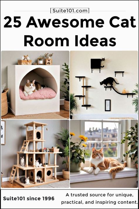 Cat Room Inspiration, Cat Playroom Ideas, Apartment Cat Ideas Small Spaces, Cat Rooms Indoor Ideas, Cat Room Outdoor, Cat Home Ideas Indoor, Cat Area In House, Cat Bedroom Ideas, Cat Room Ideas Small Spaces