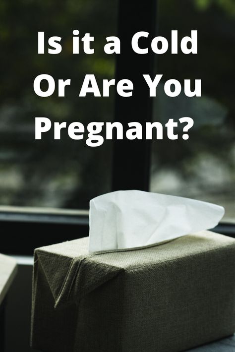 Cold Symptoms Signs, Sign Of Pregnancy, Hiding Pregnancy, Gender Predictor, Home Pregnancy Test, Early Pregnancy Signs, Cough Suppressant, Positive Pregnancy Test, Early Pregnancy