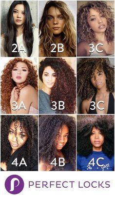 Blond Vs Brunette, Types Of Curly Hair, Hair Type Chart, Curls Hair, Curly Hair Types, Pelo Afro, Curly Girl Method, Peinados Fáciles Para Cabello Corto, 4c Hair