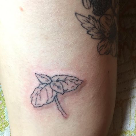 Clove Leaf Tattoo, Basil Leaf Tattoo Simple, Basil Leaf Tattoo, Lothlorien Leaf Tattoo, Basil Tattoo, Leaf Stick And Poke, Basil Leaf, Leaf Tattoos, Basil