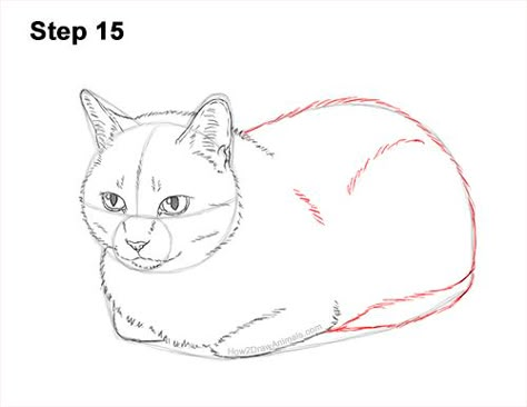 Draw a Cat Kitten Lying Bread Loaf 15 Pile Of Cats Drawing, Cat Loaf Drawing Reference, Cats Laying Down Drawing, Cat Drawing Laying Down, How To Draw A Tabby Cat, Lying Cat Drawing, Cat Loafing Drawing, Cat Drawing Side View, Cat Loaf Illustration