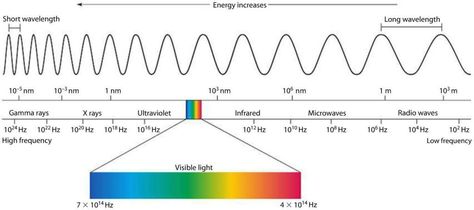 The Electromagnetic Spectrum | Mini Physics - Learn Physics Online Optician Training, Learn Physics, Light Spectrum, Light Waves, Physics Notes, Electromagnetic Spectrum, Biomedical Engineering, Year 8, Electromagnetic Radiation