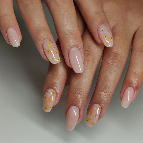 Novelty Nails, Pressed Flower Nails, Nails With Flowers, Gold Gel Nails, Bridal Nails Designs, Nail Goals, Milky Nails, Simple Gel Nails, Nail Care Tips