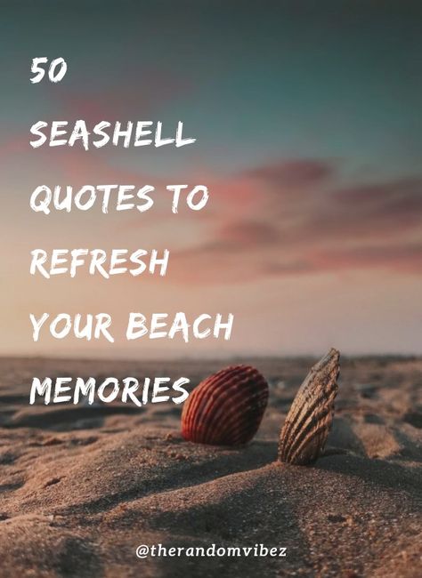 #seashells #seashellsquotes #seashellssayings #seashellscaptions #ocean #beach #inspirationallifequotes #holidayquotes #adventure #beachcombing #sea #memories #seashellsquotesimages #seashellsshortquotes Quotes About Sea Shells, National Seashell Day, Shell Love Quotes, Shell Quotes Seashells Sayings, Sea Shell Sayings, Quotes About Seashells, Ocean Sayings Short, Seashell Quotes Inspirational, Seashell Poems