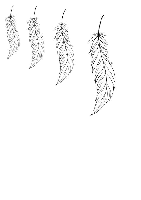 Feather Tattoo Stencil Outline, Fine Line Feather Tattoo Design, Feather Finger Tattoo, Simple Feather Drawing, Feather Tattoo Stencil, Fine Line Feather Tattoo, Simple Feather Tattoo, Bird Silhouette Tattoos, Feather Outline