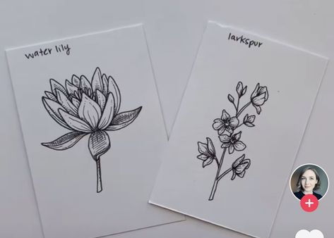 Water Lilly And Larkspur Tattoo, Larkspur And Waterlily Flower Tattoo, Waterlily And Larkspur Tattoo, Waterlily Tattoos July, Larkspur And Water Lily Tattoo, July Birth Flowers, Waterlily Tattoos, Tattoo Armband, Larkspur Tattoo