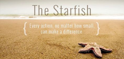 The starfish is a symbol of divine love. It also holds characteristics such as guidance, vigilance, inspiration, brilliance and intuition. Once a man was walking along a beach. The sun was shining ... Starfish Quotes, The Starfish Story, Starfish Story, Sea Quotes, School Slp, Bulletin Board Ideas, School Bulletin Boards, Beach Quotes, You Matter