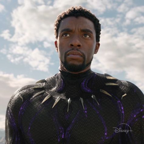 Chadwick Boseman Black Panther King, Panther Pictures, Royal Lifestyle, Black Panther Chadwick Boseman, Black Panther 2018, T Challa, Purple Stuff, Batman Begins, Wakanda Forever