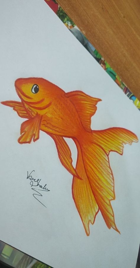 Easy Colour Pencil Drawings, Pencil Drawing Pictures, Students Drawing, Pencil Colours, Cool Easy Drawings, Kids Canvas Painting, Colourful Fish, Pencil Inspiration, Oil Pastel Drawings Easy