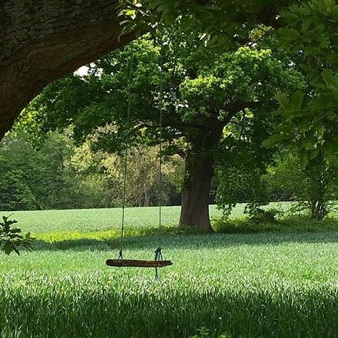 ᴘɪɴᴛᴇʀᴇsᴛ~ ssᴛᴀʀᴅᴜsᴛᴇᴅ Theme Nature, Tree Swing, Have Inspiration, Cottagecore Aesthetic, Nature Aesthetic, Pretty Places, Shade Garden, Lake District, Narnia