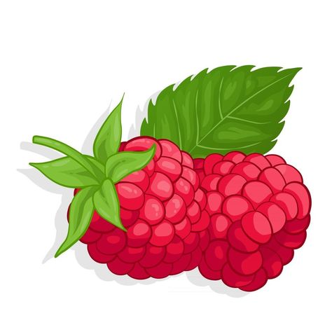 Raspberry sweet fruit illustration for web isolated on white background Sweet Fruit, Fruit Illustration, Tree Saw, Wedding People, Heart Tree, Logo Banners, Cityscape Photos, Nature Backgrounds, Heart With Arrow