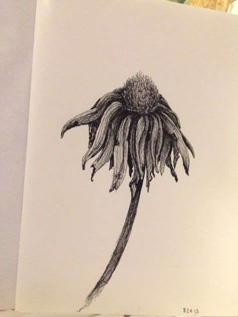 Wilting flower drawn by Alexis Fazio (SkLS Portraits) @SkLS_Portraits Line Tattoo Ideas, Rose Drawing Tattoo, Flower Tattoo Drawings, Sunflower Drawing, Flowers Drawing, Plant Tattoo, Flower Tattoo Sleeve, Sunflower Tattoos, Popular Now