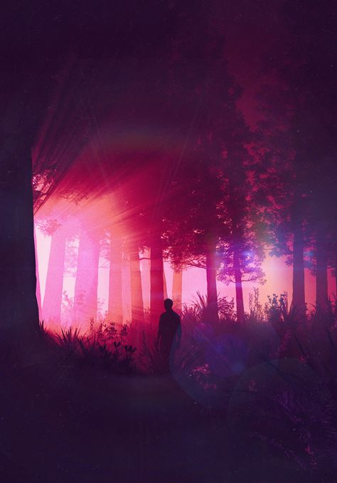 Forest Art Wallpaper, Silhouette Forest, Man Silhouette, Appleton Wisconsin, Forest Wallpaper, Animation Reference, Smartphone Wallpaper, Forest Art, Cinema 4d