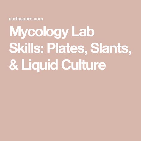 Mycology Lab Skills: Plates, Slants, & Liquid Culture Liquid Culture Mushroom, Mycology Lab, Liquid Culture, Mushroom Culture, Petri Dishes, Mushroom Cultivation, Food Source, Science Fair, Test Tube