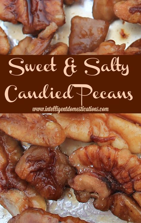 Sweet & Salty Candied Pecans Recipe at www.intelligentdomestications.com Cornbread Croutons, Watermelon Salad Recipes, Candied Pecans Recipe, One Dish Dinners, Salad Toppings, Pecan Recipes, Candied Pecans, Salty Snacks, Croutons