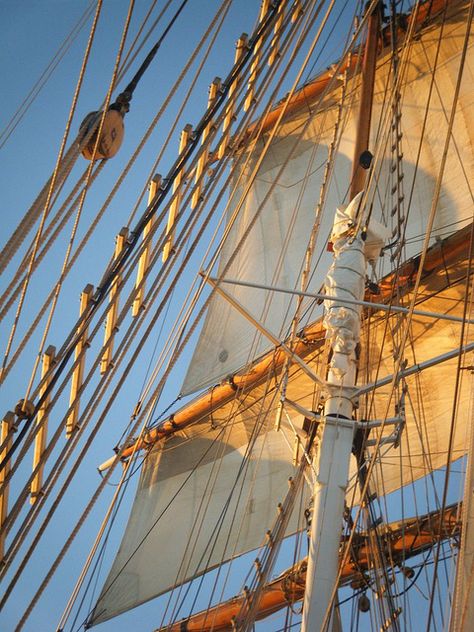 Aesthetic Pirate Ship, Tattered Ship Sails, Age Of Sail Ships, Ship Sails, Sail World, Sunset Light, Navi A Vela, Salt Air, Tall Ship