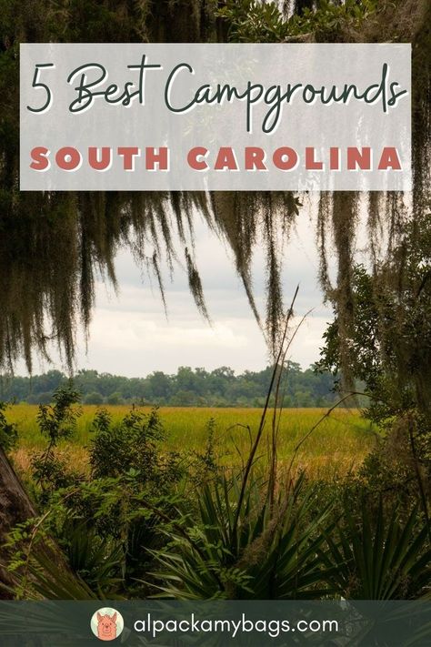 5 Best Campgrounds in South Carolina Camping In South Carolina, South Carolina State Parks, Congaree National Park, North Charleston Sc, Nc Beaches, South Carolina Vacation, Upstate South Carolina, South Carolina Travel, Lake Camping