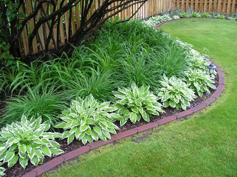 Daylilies & Hostas | Under the Lilacs | By: erin lanigan | Flickr - Photo Sharing! Low Maintenance Landscaping, Have Inspiration, Low Maintenance Garden, Daylilies, Outdoor Landscaping, The Grass, Lawn And Garden, Shade Garden, Raised Garden