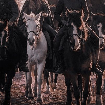 Fantasy Nomad Aesthetic, Soldier Aesthetic Medieval, Aether Aesthetic, Medieval Christmas, Ice Kingdom, Arthur Pendragon, Jaime Lannister, Royalty Aesthetic, Horse Aesthetic