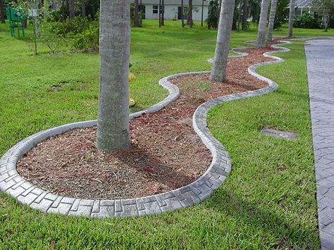 Around Trees - After 3 Edging Around Tree, Landscaping Around Trees Front Yards, Landscaping Curbing, Driveways Landscaping, Deck Around Trees, Tree Circle, Landscaping Around Trees, Outdoor Gardens Landscaping, Tree Borders