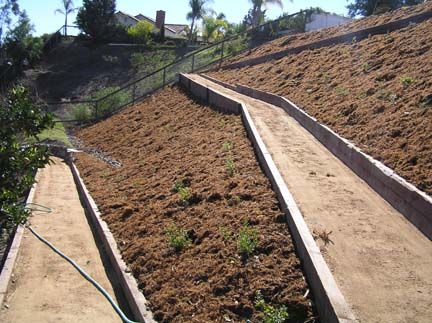 Steep Slope Landscaping, Landscape Steep Slope, Path On Steep Slope, Yard Slopes Toward House, Gentle Slope Steps, Levelling A Sloped Garden, Steep Hill Landscaping, Steep Hillside Landscaping, Steep Gardens