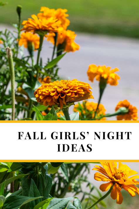 Bright yellow marigolds are in the background. A text box says "Fall Girls' Night Ideas" Fall Girls Night, Wine And Charcuterie, Girls Night Ideas, Girls Night Crafts, Flower Picking, Friend Group, Seasonal Home Decor, Night Ideas, Ladies Night