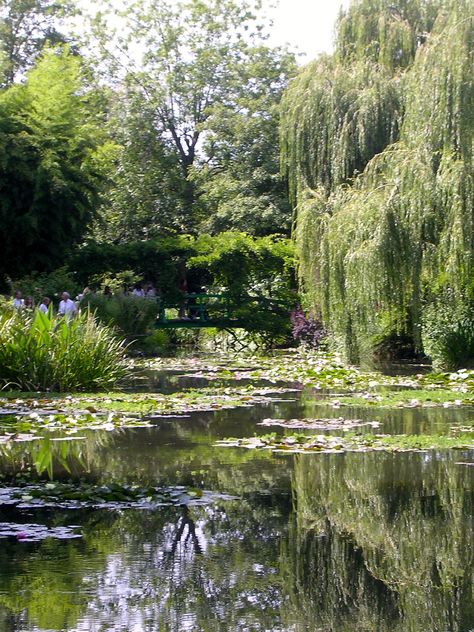 Weeping Willow, Pretty Landscapes, Nature Aesthetic, Pretty Places, Green Aesthetic, Dream Garden, Life Is Beautiful, Pretty Pictures, Secret Garden