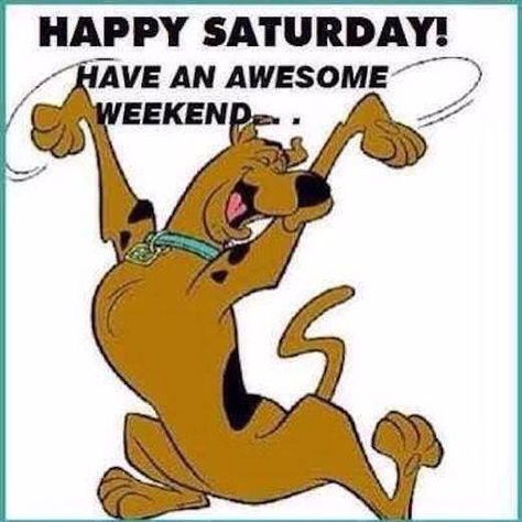 90 Funny Saturday Memes, Images & Pics for a Happy Weekend Happy Saturday Pictures, Saturday Memes, Saturday Pictures, Saturday Humor, Saturday Greetings, Scooby Doo Pictures, Saturday Images, Scooby Doo Images, Funny Coffee Quotes