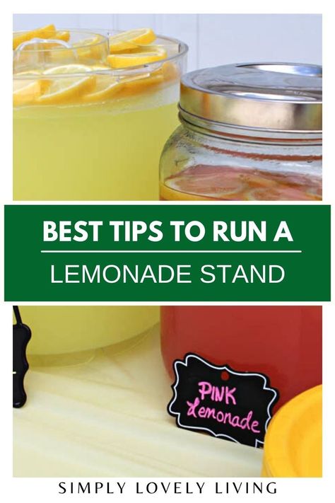 Cookies For Lemonade Stand, Lemonade Stand Lemonade Recipe, Lemonade Sale Ideas, How To Sell Lemonade, What Do You Need For A Lemonade Stand, Lemonade Stand Price List, Lemonade Stand Alternatives, Things To Sell At A Lemonade Stand, Lemonade Stand Supplies