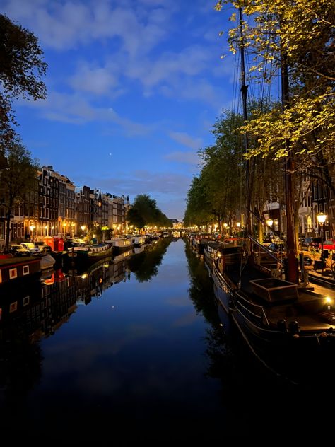 Netherlands Aesthetic, Summer Nights Mid July, Aesthetic Lights, Magnolia Parks, Magnolia Park, Mid July, Hot Summer Nights, I Amsterdam, I Want To Live