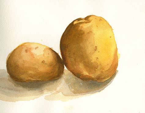 Potato Impression Painting, Potato Painting, Baked Potato Drawing, Potato Illustration Cute, Potato Plant Illustration, Potato Botanical Illustration, Potato Drawing, Bean Pot, Book Art Diy