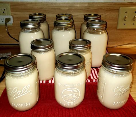 Creamy Delights: A Guide to Canning Milk for Versatile and Long-lasting Dairy Goodness Canning Sweetened Condensed Milk, Canning Milk Pressure, Canning Evaporated Milk, Canning Condensed Milk, Canning Milk Water Bath, Canning Milk, Pickled Foods, Sweetened Condensed Milk Recipes, Milk Gravy