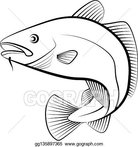 Vector Illustration - Cod fish. Stock Clip Art gg135897365 - GoGraph Cod Fish Illustration, Cod Fish Drawing, Fogo Island, Fish Coloring, Fish Clipart, Fish Coloring Page, Fish Vector, Fish Stock, Fish Illustration