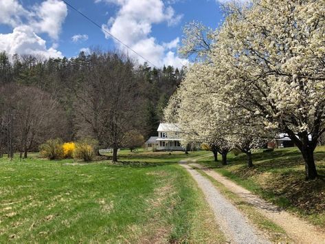 West Virginia Farmhouse For Sale W/Log Cabins And Creek on 19 Beautiful Acres White Sulphur Springs, WV $249,000 - Country Life Dreams Virginia Farmhouse, Monongahela National Forest, Cabins For Sale, Sulphur Springs, Old Farm Houses, Beautiful Houses, Log Cabins, National Forest, Country Life