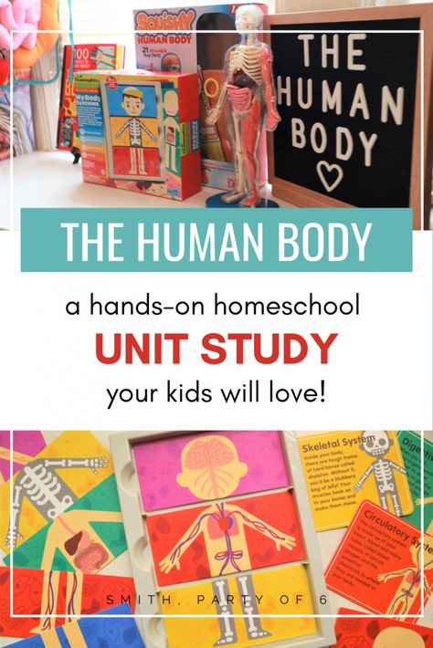 Human Body Science For Kindergarten, Human Body Project Preschool, Kindergarten Science Unit Studies, Human Body Homeschool Activities, Kindergarten Human Body Unit, Anatomy Unit Study, Kindergarten Homeschool Unit Studies, Human Body 1st Grade, Human Body Unit Study Kindergarten