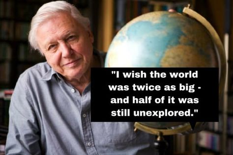 David Attenborough Quotes, Save Our Earth, David Attenborough, Unbelievable Facts, Human Behavior, Save Earth, Nature Quotes, Staying Alive, Inspirational People