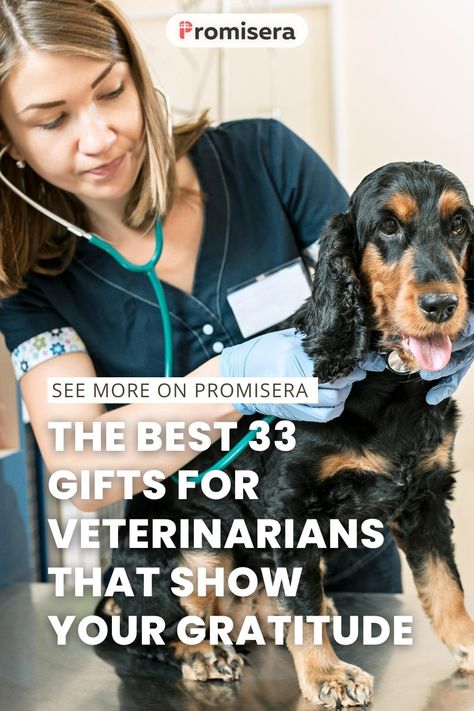 Veterinarians are the backbone of the animal healthcare industry, dedicating their lives to treating and healing our beloved pets. That's why it's important to show them our appreciation with thoughtful gifts for veterinarians. Gifts for veterinarians can be both practical and heartfelt, with a wide range of options to suit any budget or taste. Gifts For Veterinarians, Healthcare Industry, Veterinarian, Gratitude, Thoughtful Gifts, Health Care, Healing, Range, Gifts