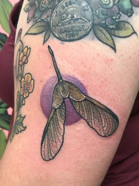 Tree Seed Tattoo, Maple Seed Tattoo, Seed Tattoo, Maple Tree Tattoos, Hannah Tattoo, Sycamore Seed, Maple Seed, Wood Tattoo, Basic Tattoos